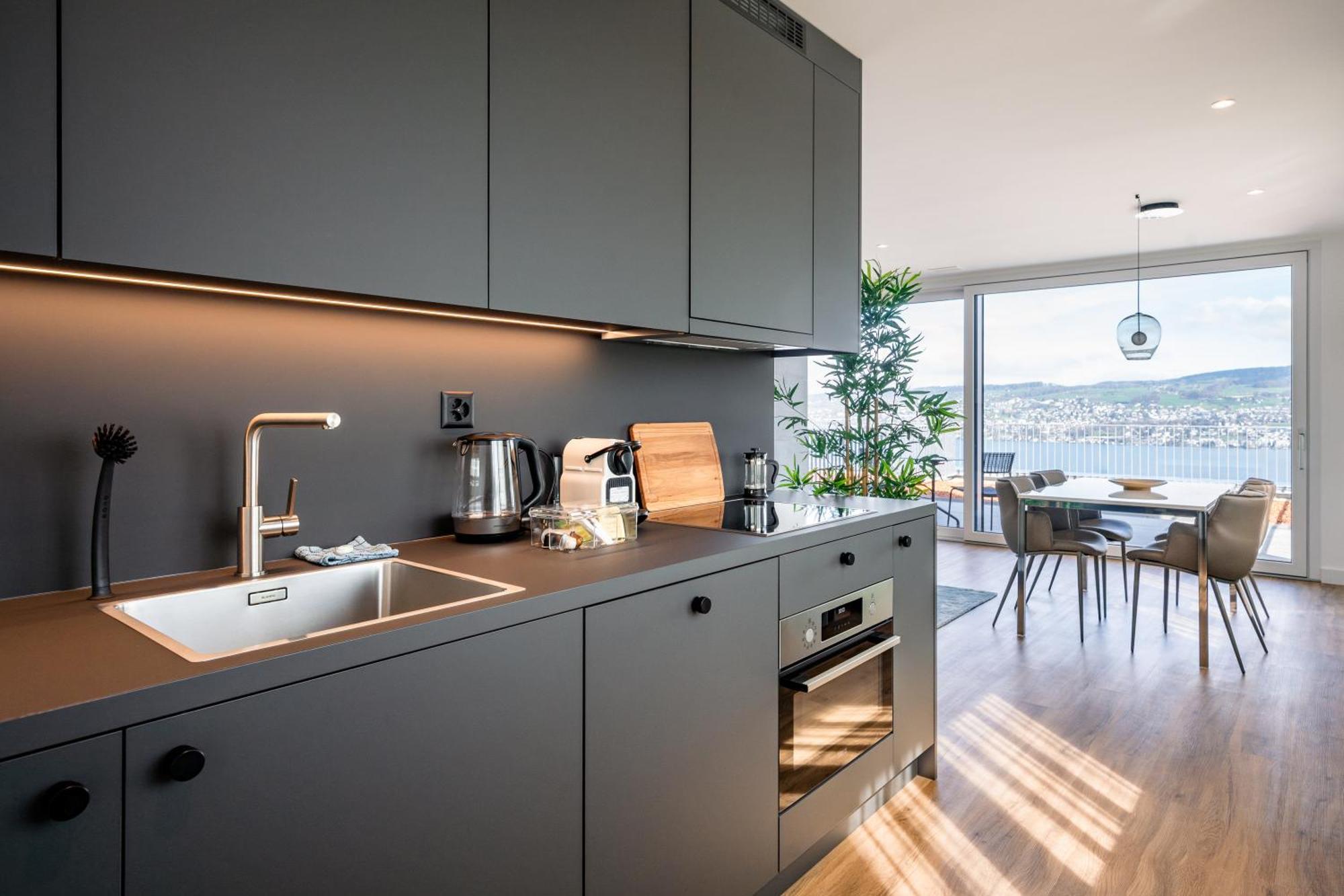 Aestate Living Lakeview In Horgen Zuerich Zug Pfaeffikon 外观 照片